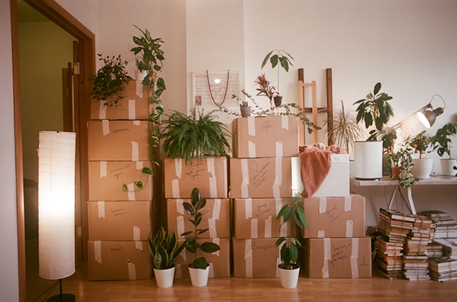Professionally cleaned Airbnb property ready for guests